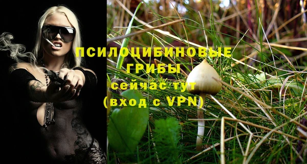спайс Алексин