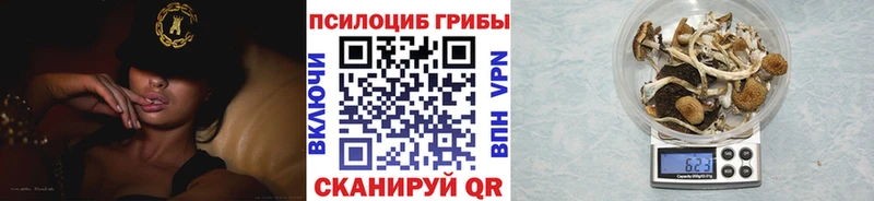 mega как войти  Анапа  Псилоцибиновые грибы мицелий 